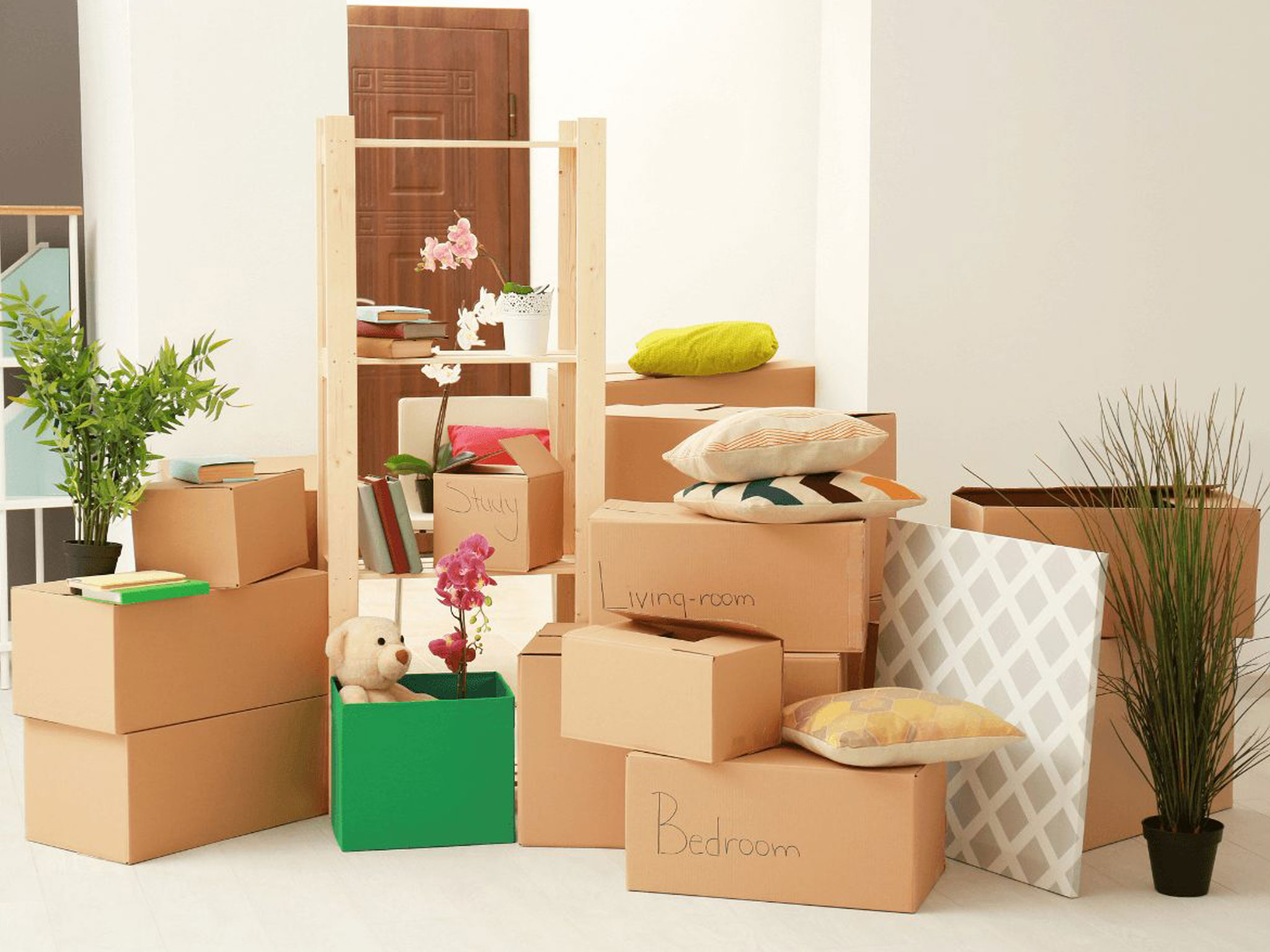 commercial cleaning icon